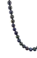 Essential Tahitian Pearl Necklace CULTURE TAHITIAN 16